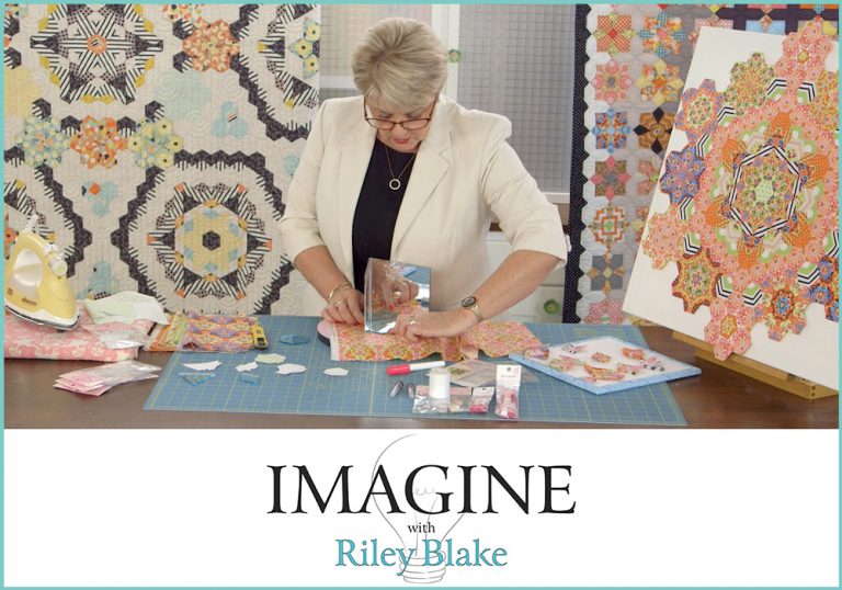 I am an imagine instructor sue daley designs blog